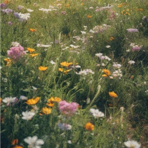 rue Saint—Patrick Wolverhampton Cotton Short Sleeve Shirt - Picture 3 of 4